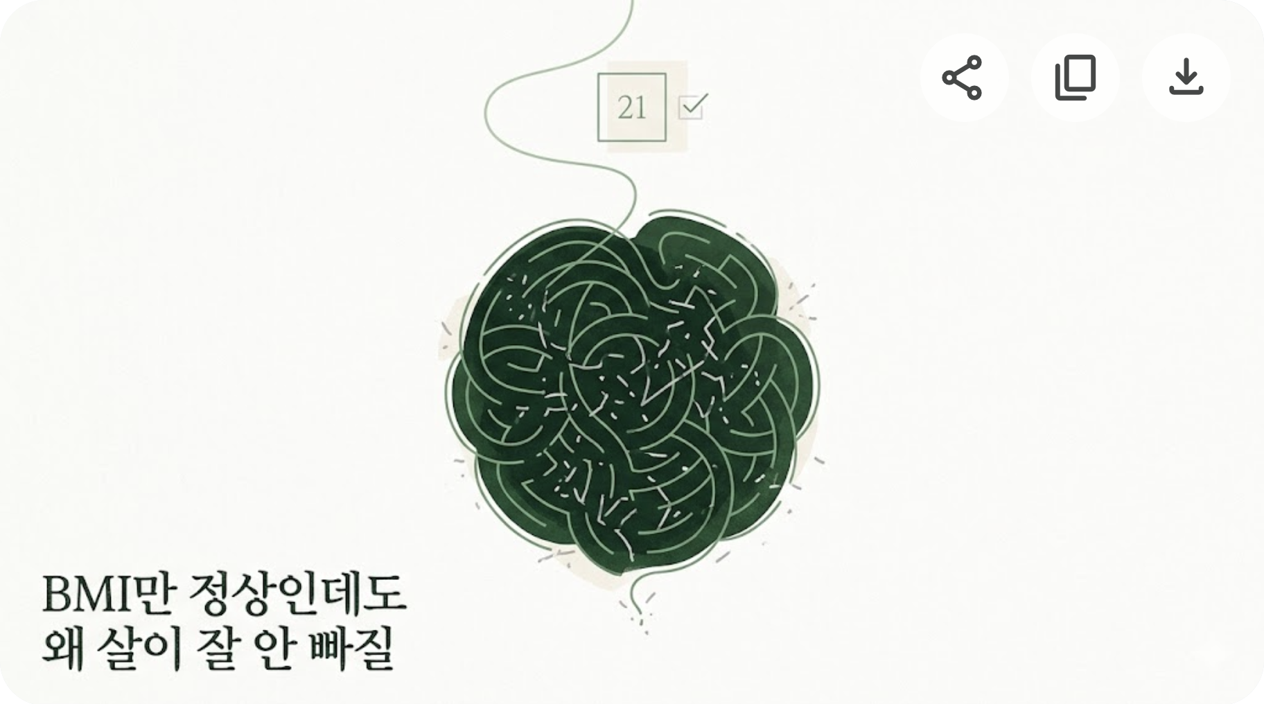 BMI만 정상인데도 왜 살이 잘 안 빠질까? 숫자 밖에서 봐야 할 것